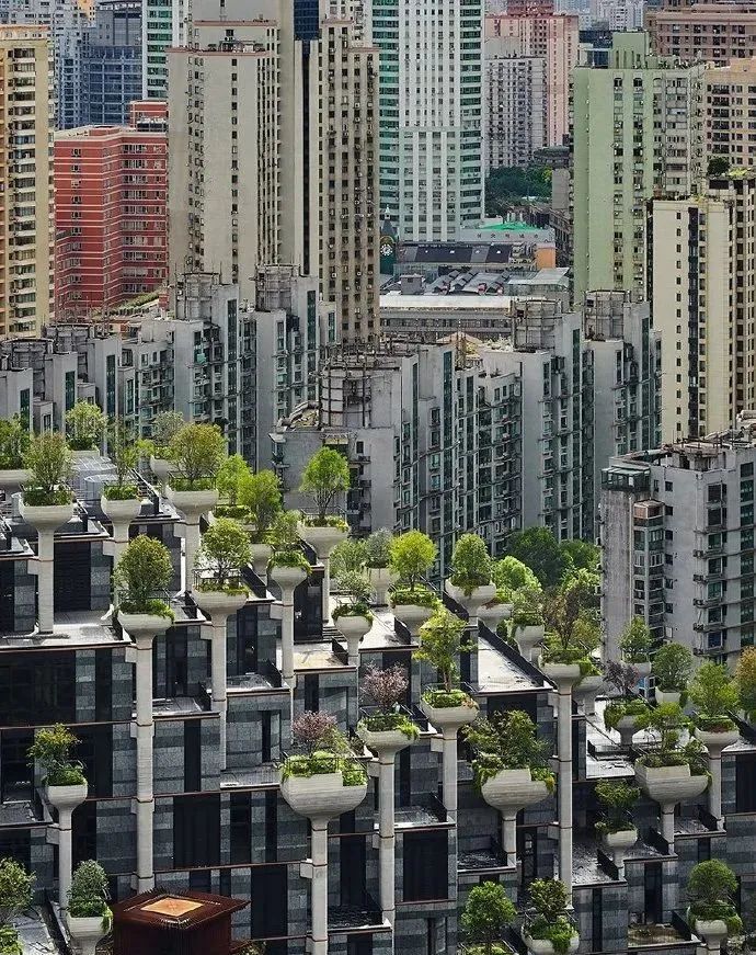 微信图片_20201112092004.jpg 微信图片_20201112092004.jpg